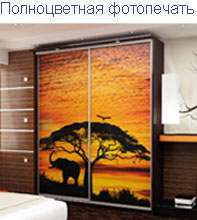 Полноцветная фотопечать Фотопечать на двери-купе